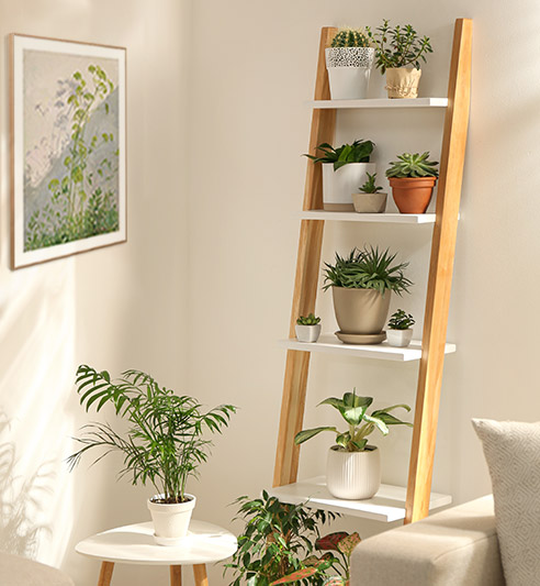 Pflanzen im Raum und an der Wand für ein grünes Zuhause