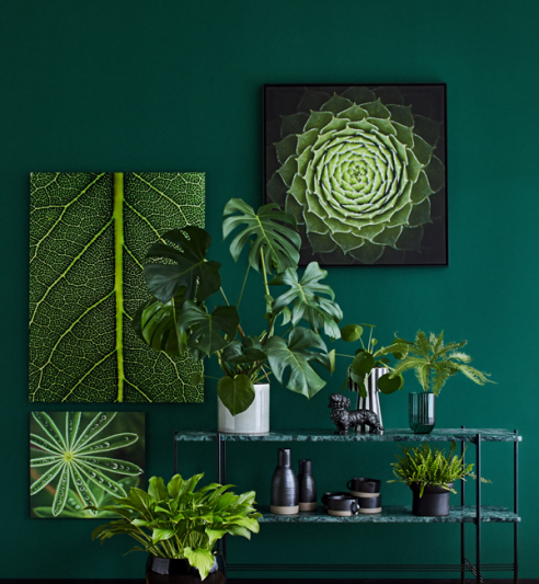 Grüne Wandbilder für's Greenterior Interior