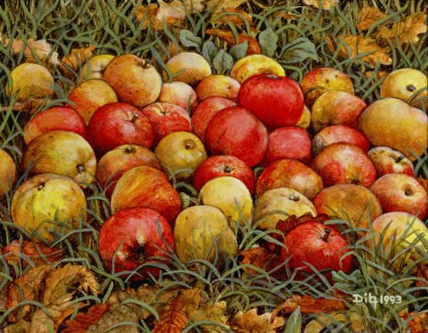 Durnitzhofer Apples, 1993 von Ditz