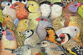 Patchwork-Birds 1995