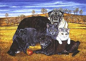 Hocking County Pug-Cats, 1995 