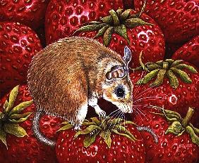 Strawberry-Mouse, 1995 (acrylic on panel) 