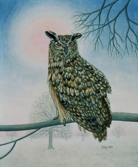 Winter-Owl  von Ditz