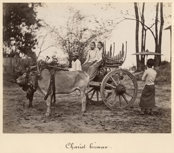 Cart pulled by two oxen at Mandalay, Burma, c.1885 (albumen print from a glass negative) (b/w photo) von English Photographer