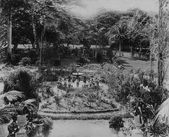 Garden of a Suburban Villa, Port of Spain, Trinidad von English Photographer