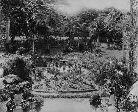 Garden of a Suburban Villa, Port of Spain, Trinidad