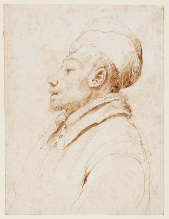 Karikatur eines Mannes im Profil nach links von Guercino (Giovanni Francesco Barbieri)