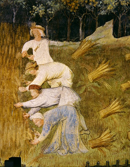 Harvesting wheat, detail von Italian School