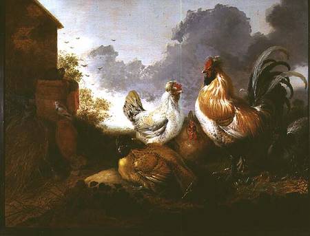 Poultry in a farmyard von Abraham van Calraet