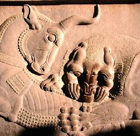 A ferocious lion attacking a bull, relief from the northern stairway facade of the Tripylon 500-480 BC