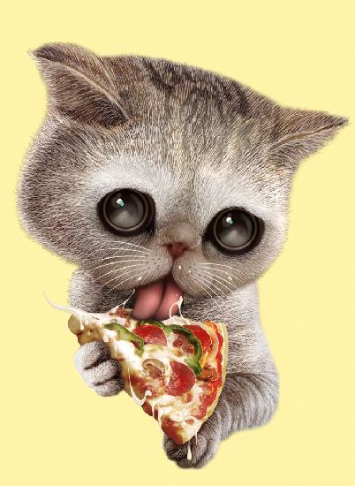 Katze liebt Pizza