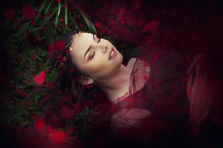 Schlafen Sie unter einem Rosenregen