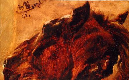 Head of a Dead Horse von Adolph Friedrich Erdmann von Menzel