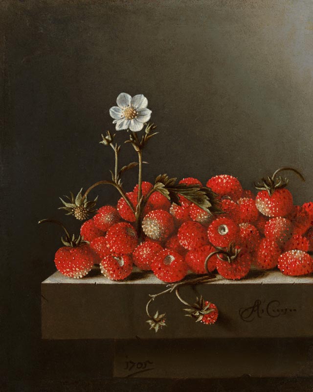 Still Life with Wild Strawberries von Adrian Coorte