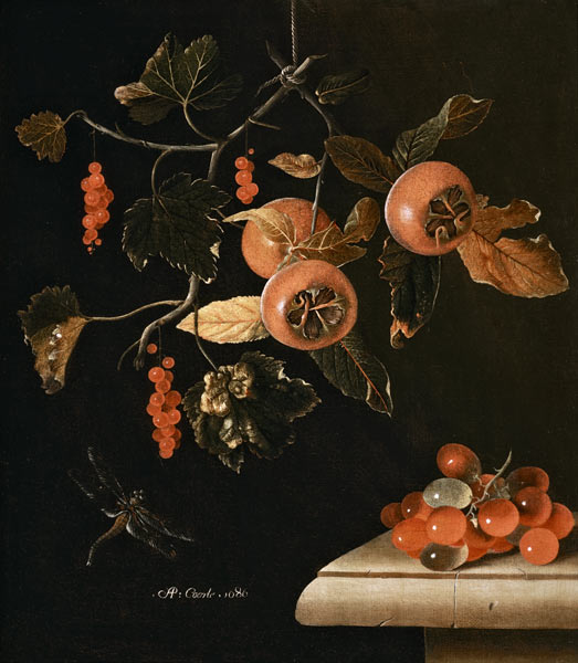 Still Life of Medlars, Redcurrants, Grapes and a Dragonfly von Adrian Coorte