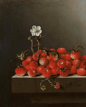 Still Life with Wild Strawberries 1705