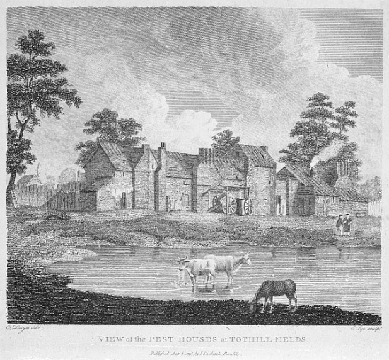 View of the Pest-Houses at Tothill Fields ; engraved by Charles Pye von (after) Edward Dayes