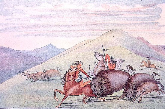 Buffalo bull protecting calf and mother under attack von (after) George Catlin