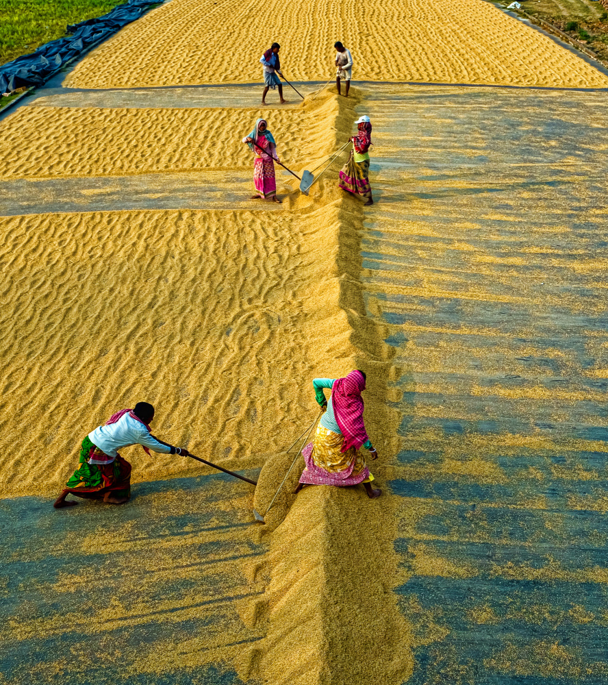 Dorfleben von Ajit Kumar Majhi