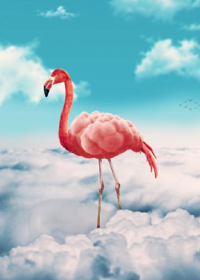 Flamingo in den Wolken