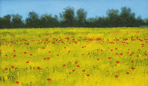 Yellow Field with Poppies, 2002 (oil on canvas) 