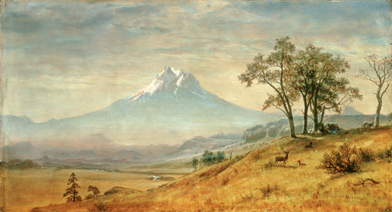 Mount Hood von Albert Bierstadt