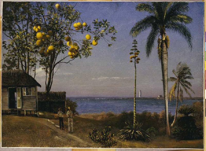 Tropische Landschaft. von Albert Bierstadt