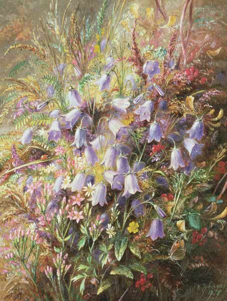 Harebells & other Woodland Flowers & Grasses von Albert Durer Lucas