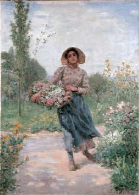 Picking flowers 1897