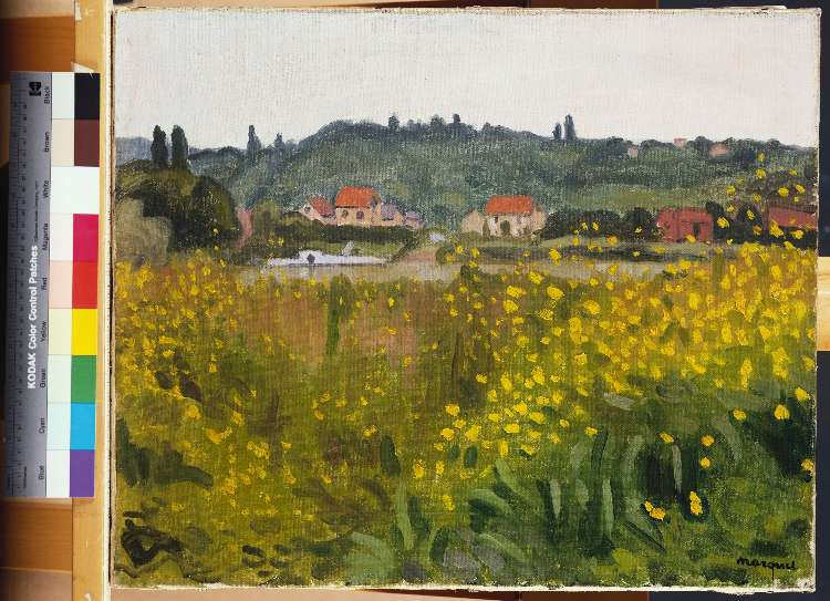 Gelbe Blumenwiese in Villenes (Les Fleurs Jaunes a Villenes) von Albert Marquet