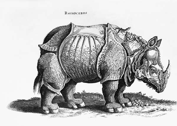 Rhinoceros, no.76 from ''Historia Animalium'' Conrad Gesner (1516-65) published in July 1815 von Albrecht Dürer
