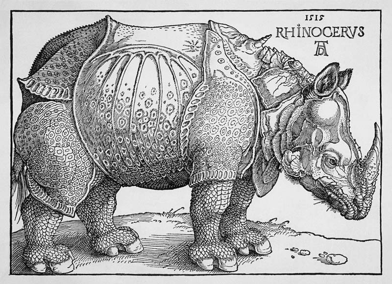Nashorn - Variation ohne Text in Schwarzweiß von Albrecht Dürer
