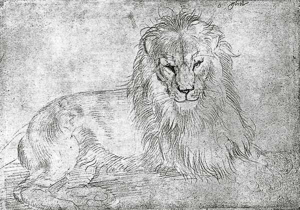 Liegender Loewe von Albrecht Dürer