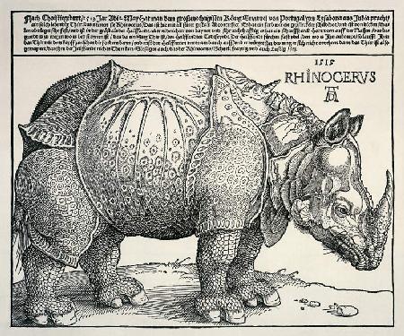 Nashorn - Variation mit dem Text 1515