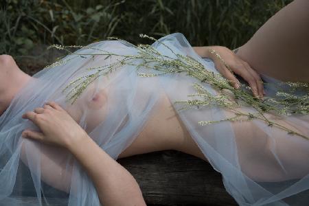 Ein nacktes Mädchen liegt auf einer Wiese unter einem hauchdünnen Stoff mit Blumen.