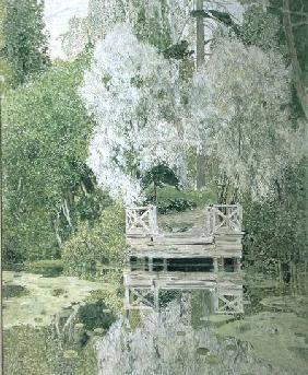 Silver White Willow 1904