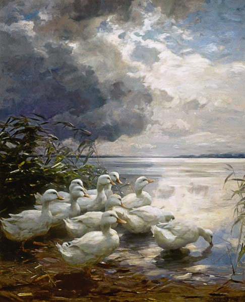 Enten an wolkenverhangenem See-Ufer von Alexander Koester