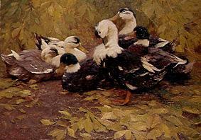 Sechs Enten im Herbstlaul von Alexander Koester