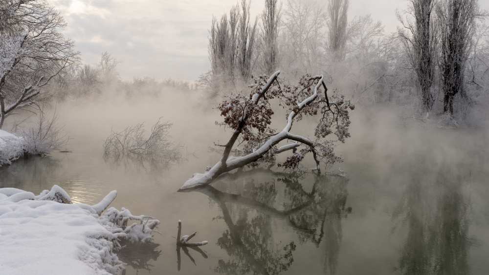 Fog over the water von Alexander Plekhanov