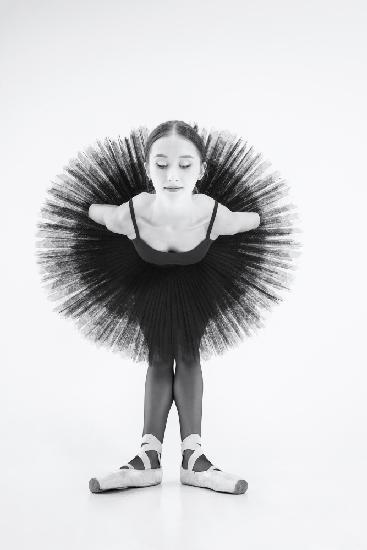 Pfau. Eine Ballerina in einem schwarzen Tutu beugt sich mit auf dem Rücken verschränkten Armen nach 