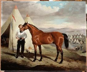 Sir Briggs, horse of Lord Tredegar (1831-1913) of the 17th Lancers, in Camp in Crimea 1854, 1856 (oi 17th