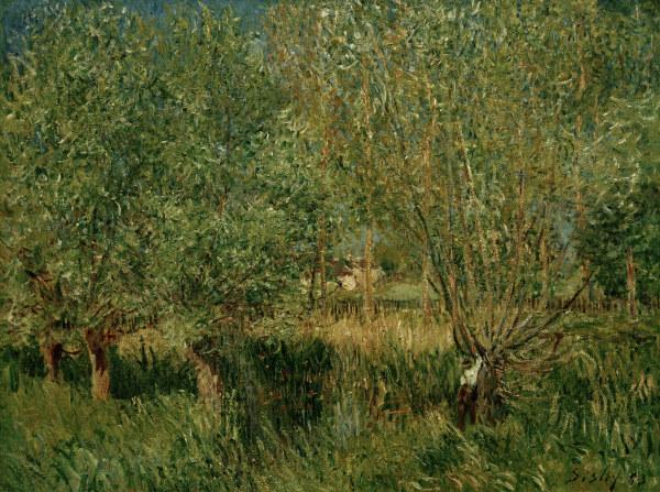 A.Sisley, Weiden am Ufer der Orvanne von Alfred Sisley