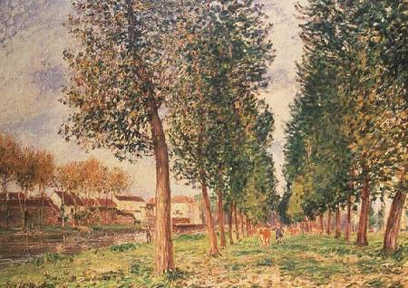 The Poplar Avenue at Moret, Cloudy Day, Morning von Alfred Sisley