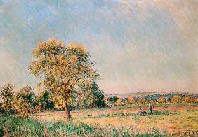 Sommerlandschaft mit großem Baum. 1886