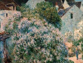 A.Sisley, Der Flieder in meinem Garten