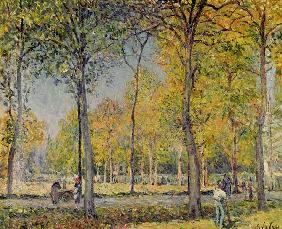 The Bois de Boulogne