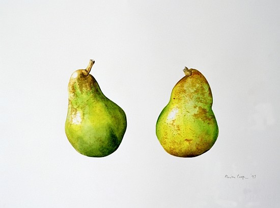 A Pair of Pears, 1997 (w/c on paper)  von Alison  Cooper