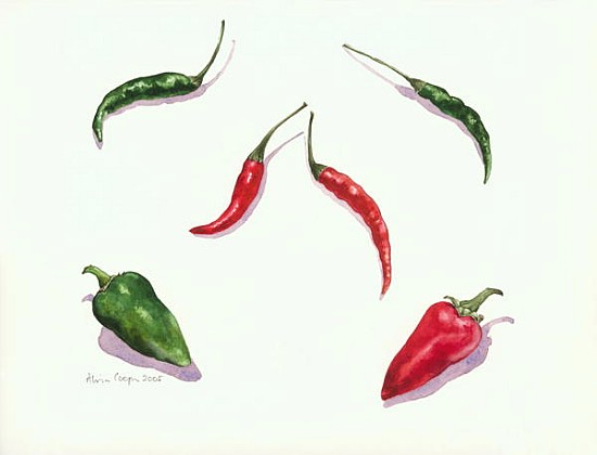 Chillies and Peppers, 2005 (w/c on paper)  von Alison  Cooper