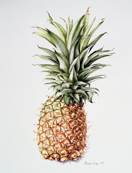 Pineapple von Alison  Cooper