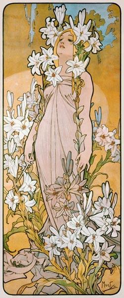 Die Lilie 1898